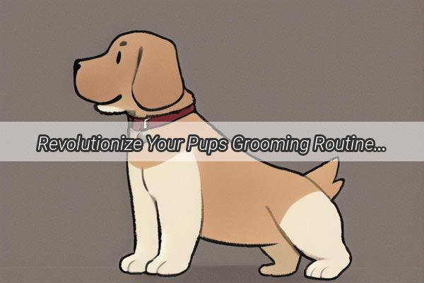 Revolutionize Your Pups Grooming Routine Discover the Ultimate Dog Hair Dryer